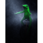 frog boi nation