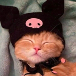 PaWz. !