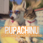 Pupachinu