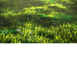 [ NEW ] Grass vibe place