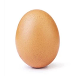 The Night's EGG HQ icon