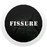 Fissure
