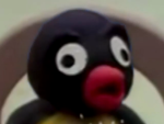PINGUINOS MEXICANOS