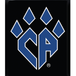 Cheer_Athletics_Elites