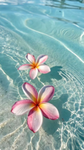 !.LilyPlayzz.!