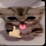 alxxndraa