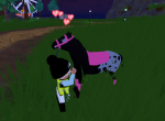 It’sTilly Horse Academy