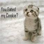 Kitty Witty Lovers