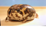 Da Froggo Team
