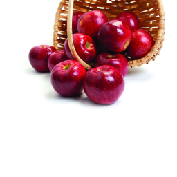 AppleCo