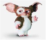 gizmo fanz