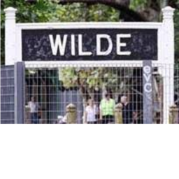 Wilde IN CONSTRUCTION devs