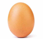 Fried Egg