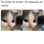 Todos los paises