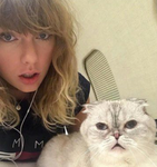 -SWAG ANIMALS-