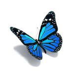 ButterflyGamers