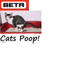 Pooping Cats Tycoon! (NEW)