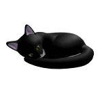 memorial of my cat Plamka