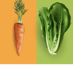 Lettuce and carrots