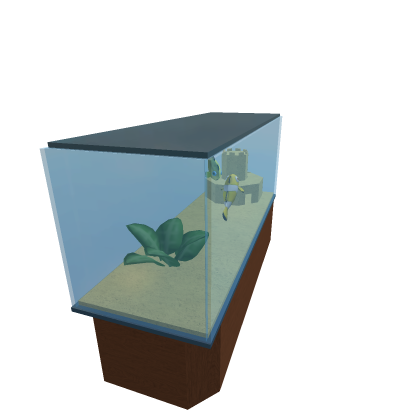 1st Fish Tank