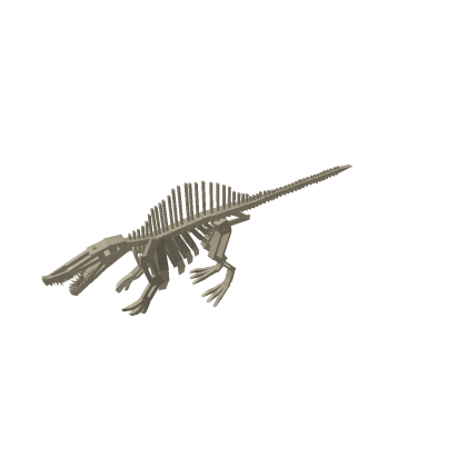Skeletal Spinosaurus