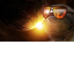 The Sloth Mafia