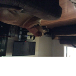 Quietlogan123