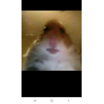 Yyy_yyyyyyyyyyyyyyyyyyyyyyyyyyy6y