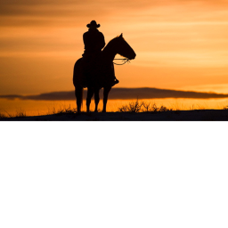 Role play in the western