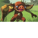 Botw Fans <3