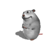 Mysz