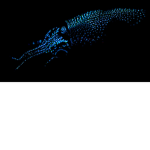 Storm Squid Studios