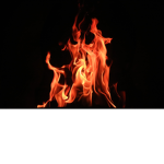 fireboyfamily