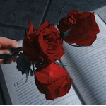 My roses~