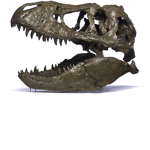 Dinosauria Group