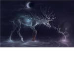 ~ Deer Fashion ~