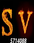 SV-Gaming