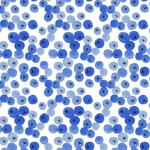 Blueberry Squaddddd