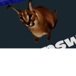 Dankium
