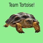 Team Tortoise!