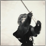 Chimp Vanguards