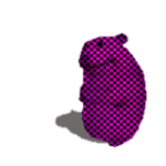 Missing Texture Chomik