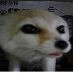 Memes hehe