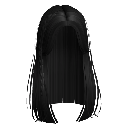 Black Long Braided Fairy Hair Roblox item