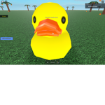 the ducks fan club
