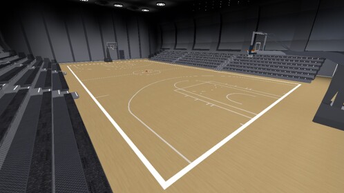 My Dream Ball Court