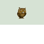 The Owls™