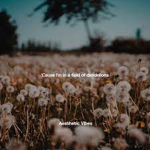 The Dandelions Corp.