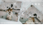 House Of Royalty