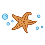 •Sea Clothes•